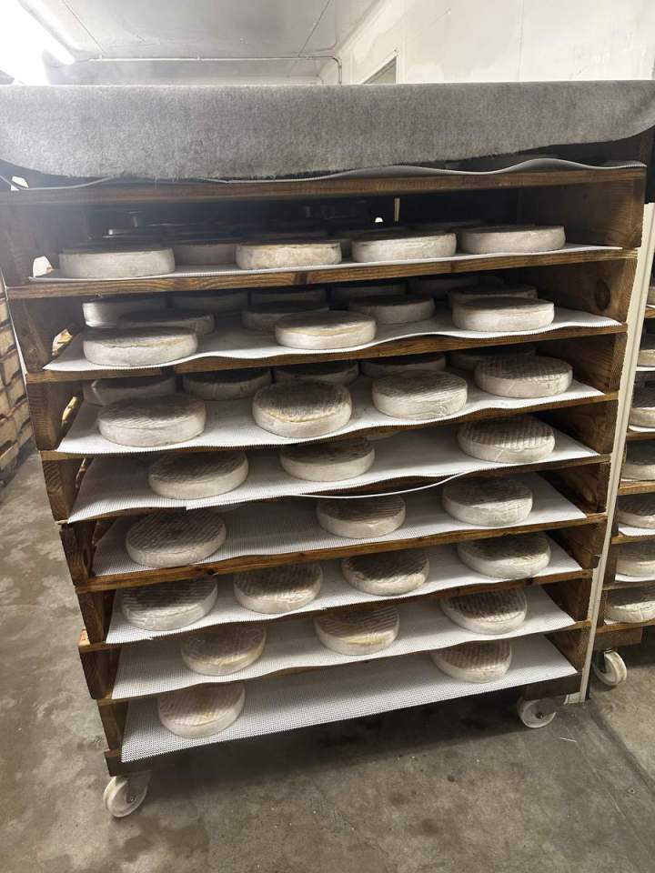 Fromage saint-nectaire France