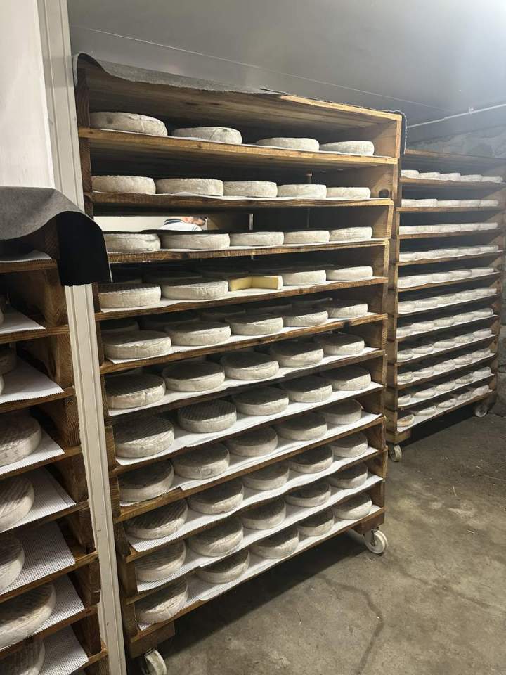 Vente de fromage cantal France