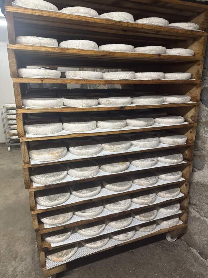 Production de fromage en France